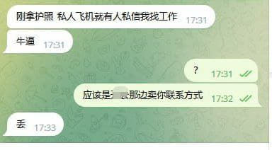 刚拿到护照，私人飞机就收到私信我找工作，这是要卖我？