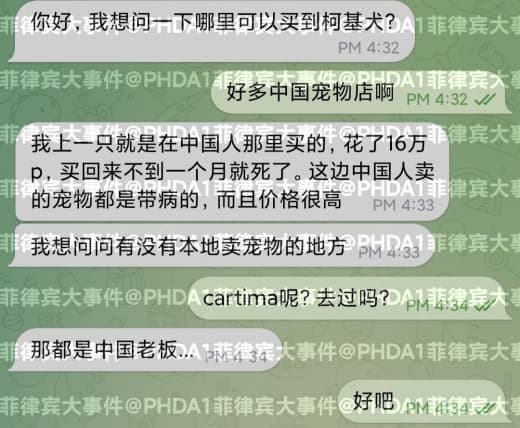 你好，我想问一下哪里可以买到柯基犬？