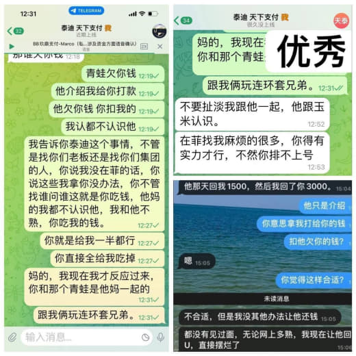 盛世集团泰迪(给盛世抹黑的一个败类）跟天下支付（泰迪）@txteddy...