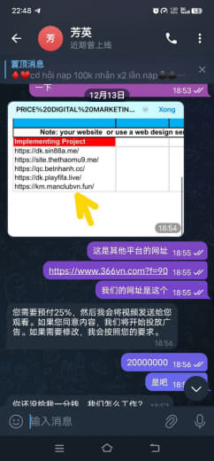 在脸书找合作投广告，总费用谈的8000万越南盾，谈好支付25%前期运营...